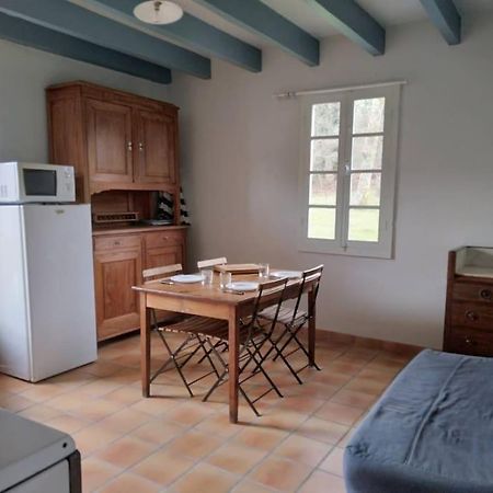 Appartamento Le Petit Frouas Sud Vielle-Saint-Girons Esterno foto