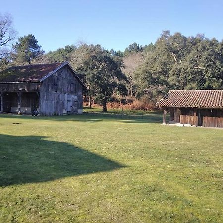 Appartamento Le Petit Frouas Sud Vielle-Saint-Girons Esterno foto