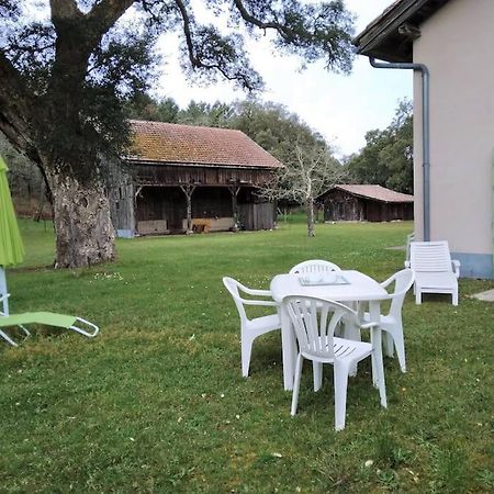 Appartamento Le Petit Frouas Sud Vielle-Saint-Girons Esterno foto
