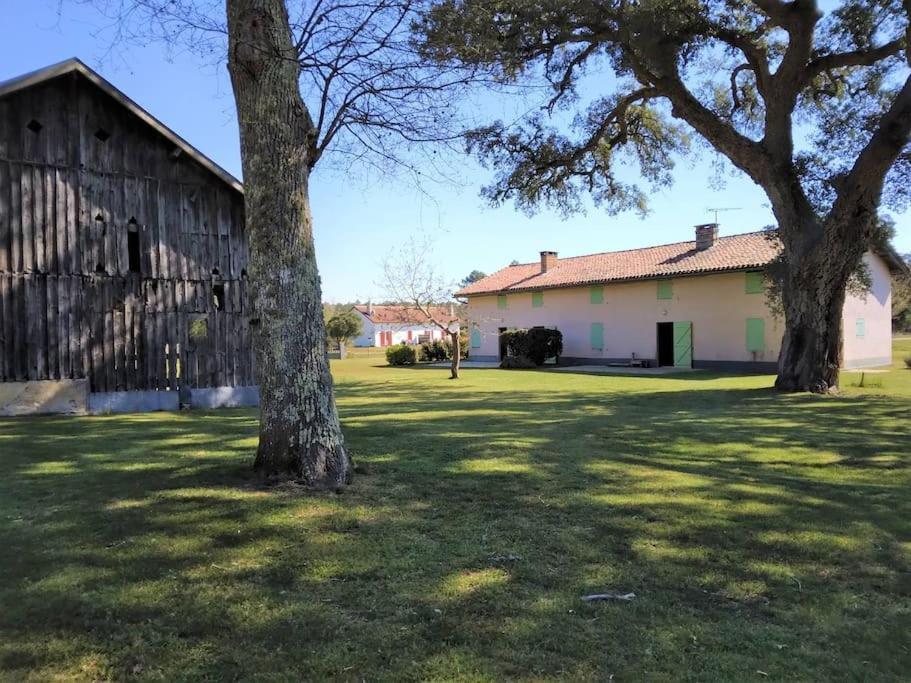 Appartamento Le Petit Frouas Sud Vielle-Saint-Girons Esterno foto