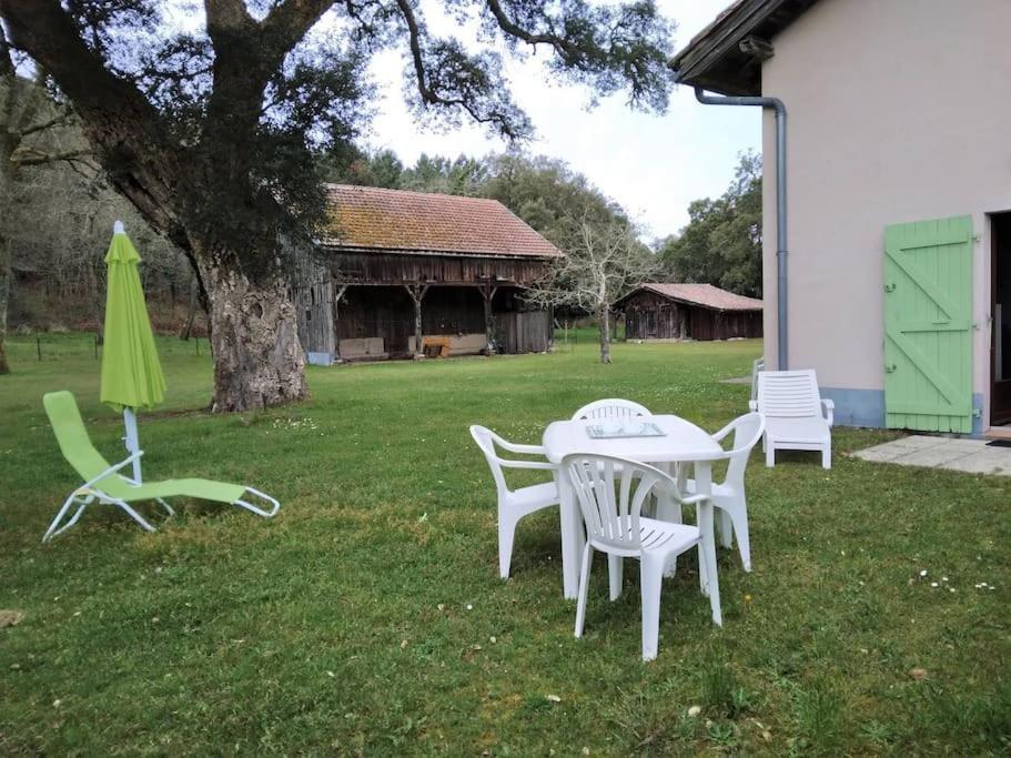 Appartamento Le Petit Frouas Sud Vielle-Saint-Girons Esterno foto