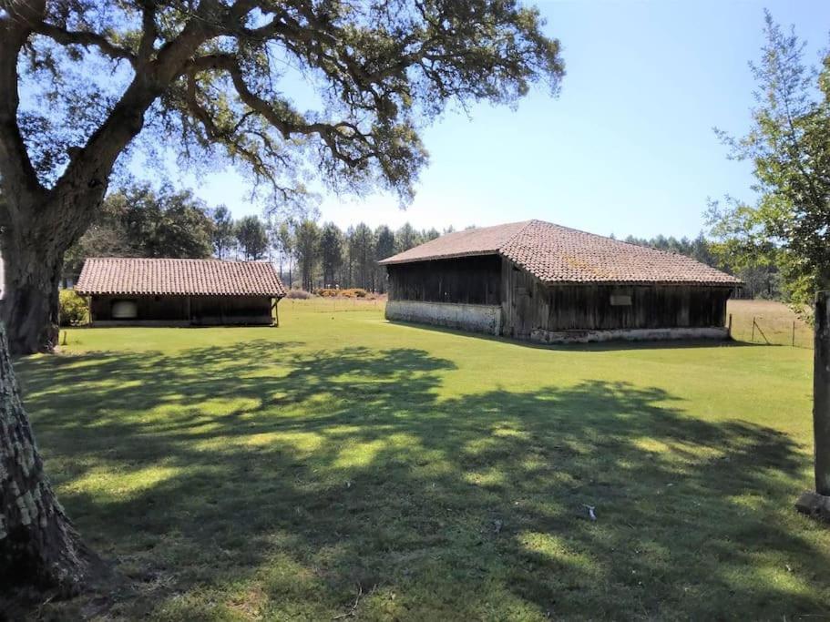 Appartamento Le Petit Frouas Sud Vielle-Saint-Girons Esterno foto